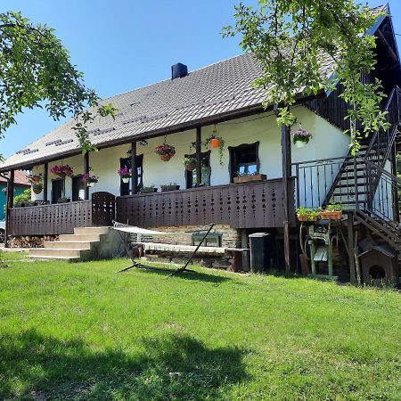 Вілла Casa Bunicilor Ciprian Porumbescu Екстер'єр фото