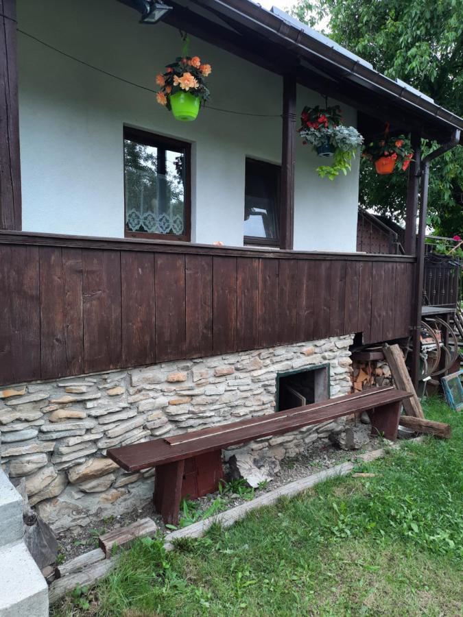 Вілла Casa Bunicilor Ciprian Porumbescu Екстер'єр фото