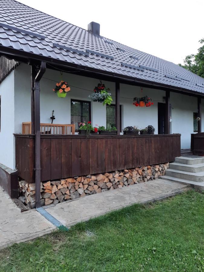 Вілла Casa Bunicilor Ciprian Porumbescu Екстер'єр фото