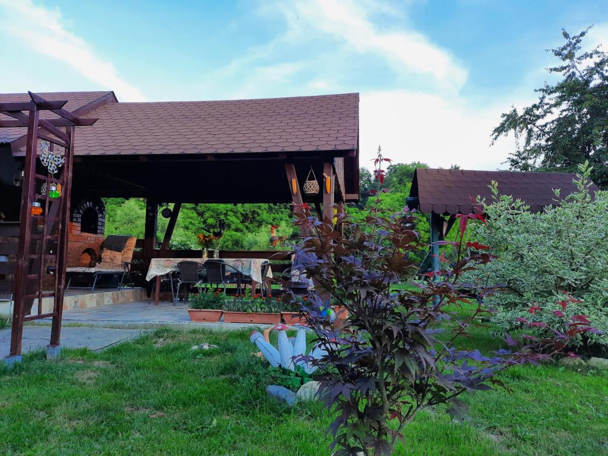 Вілла Casa Bunicilor Ciprian Porumbescu Екстер'єр фото