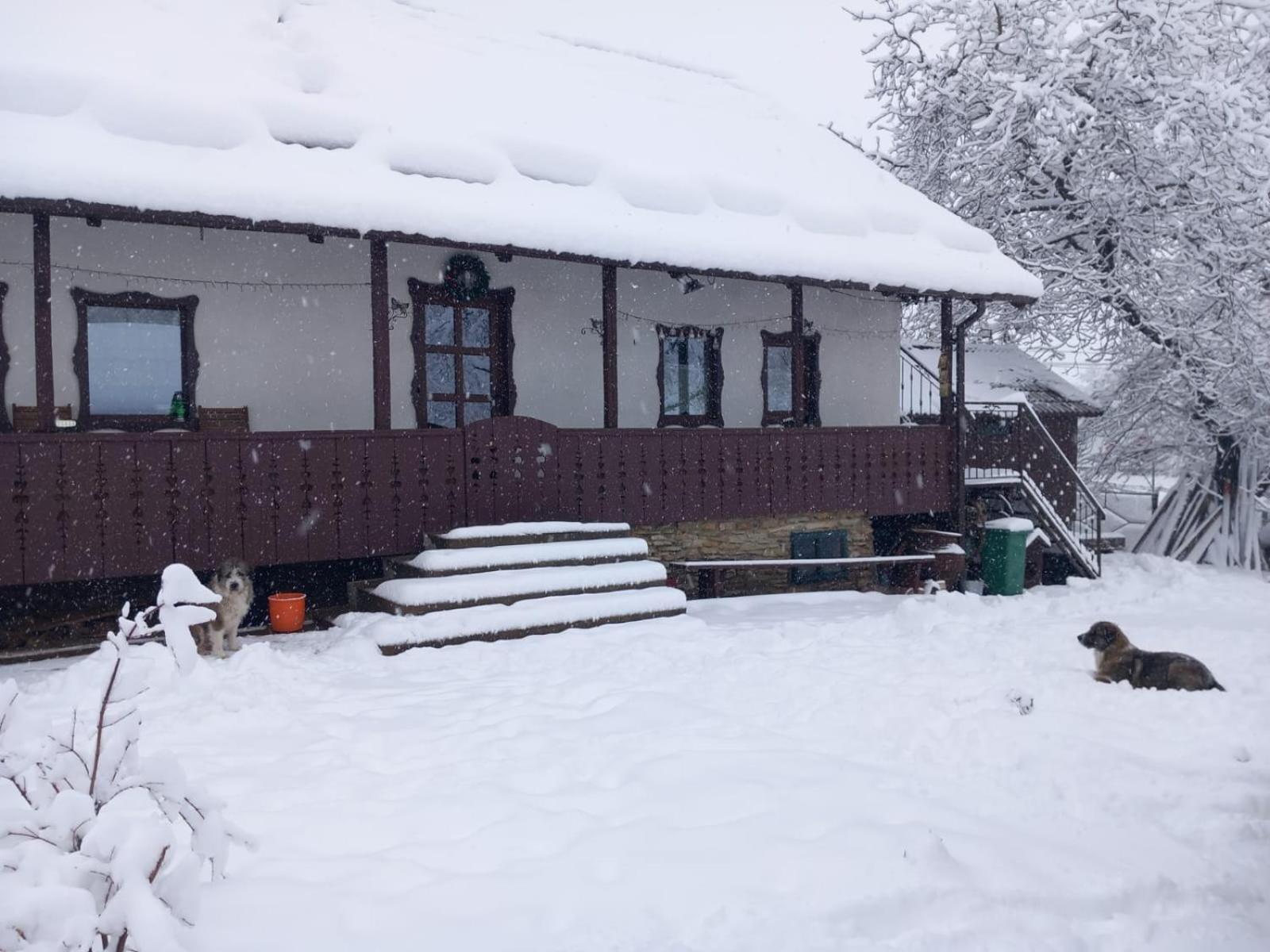 Вілла Casa Bunicilor Ciprian Porumbescu Екстер'єр фото